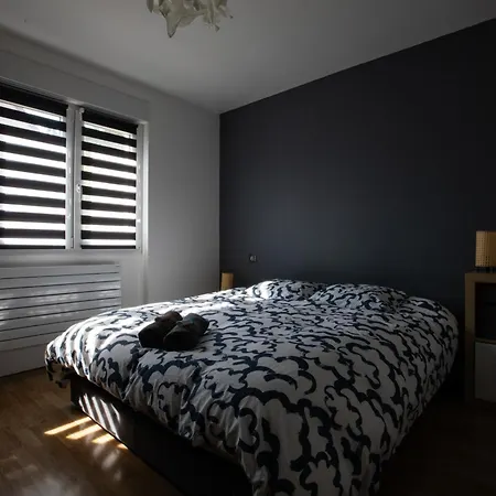 Rare Maison Moderne Proche Centre Avec Jardin Parking Gratuit