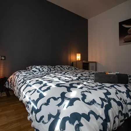 Rare Maison Moderne Proche Centre Avec Jardin Parking Gratuit بيت للعطل
