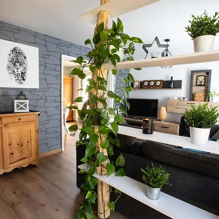 Rare Maison Moderne Proche Centre Avec Jardin Parking Gratuit コルマール