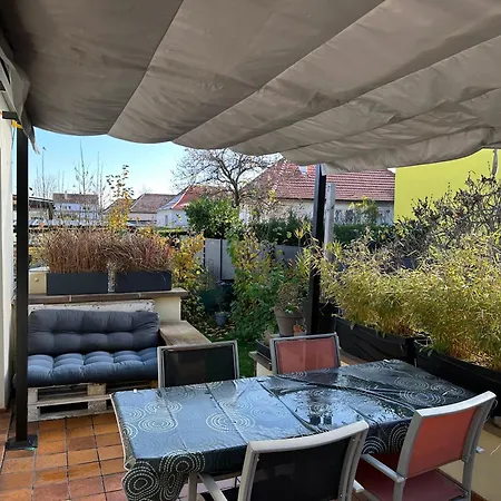 Rare Maison Moderne Proche Centre Avec Jardin Parking Gratuit * 科尔马